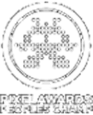 Pixel Award for Michigan Marketing Agency