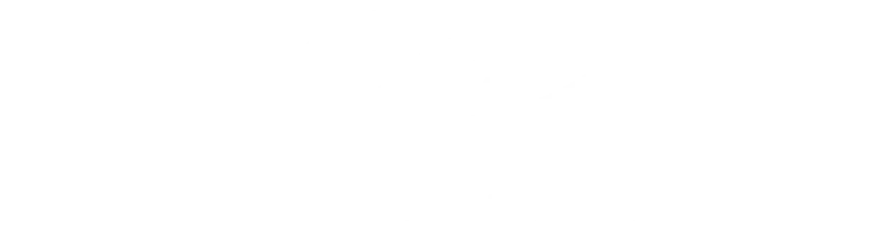 Michigan Eye Institute